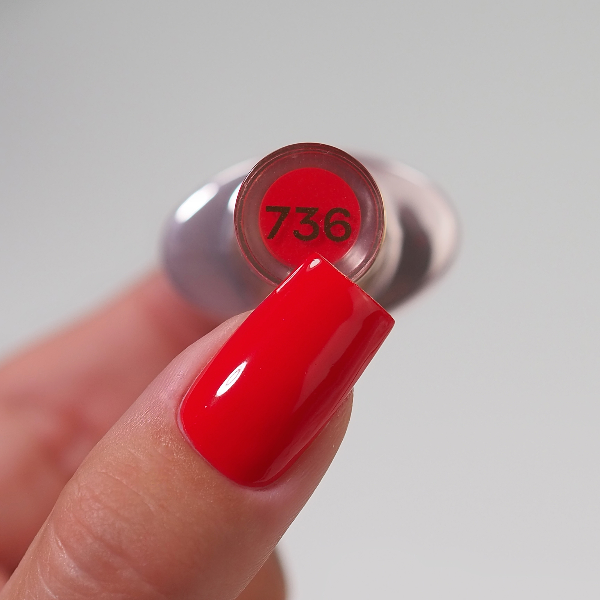 736