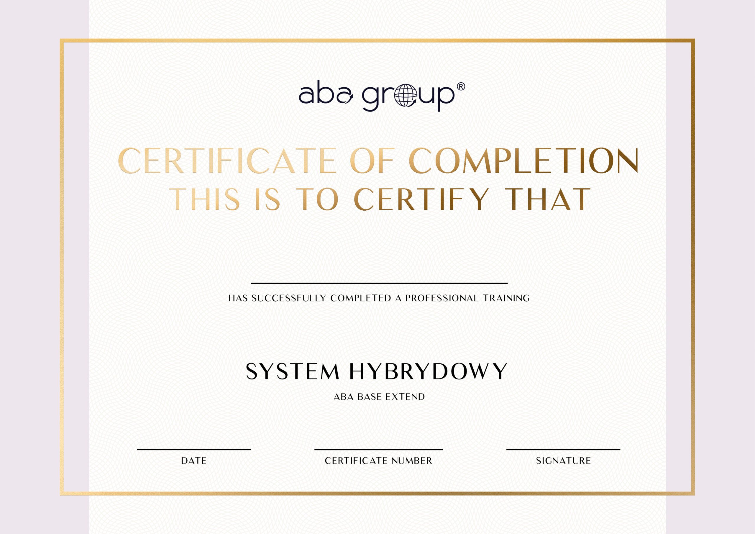 Certyfikat SYSTEM HYBRYDOWY – dla Instruktorów Aba Group